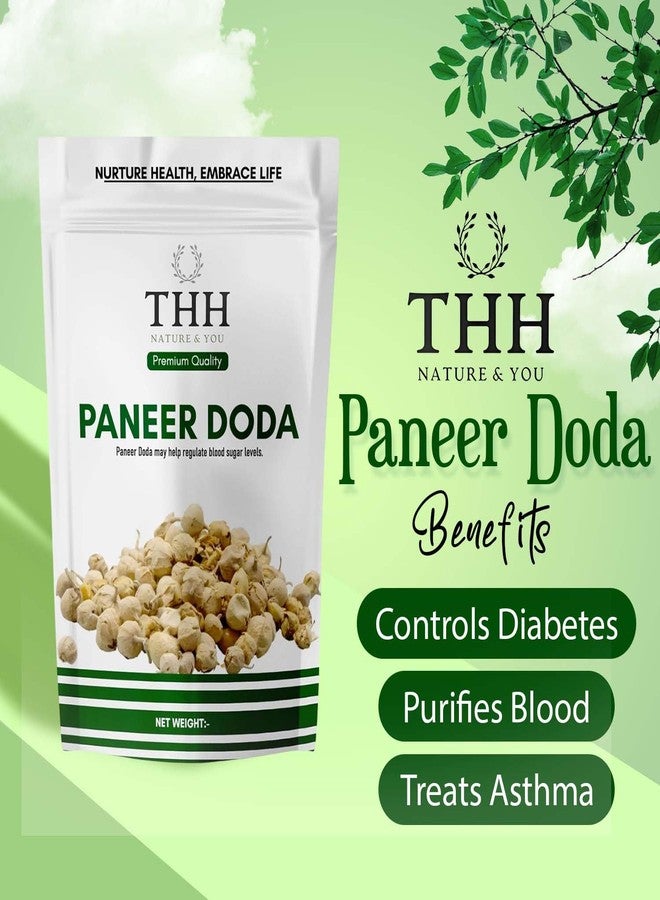 THH Paneer Doda Phool for Diabetes| Dodi (Flower)| Natural Paneer ke Phool 350gm - Image 5